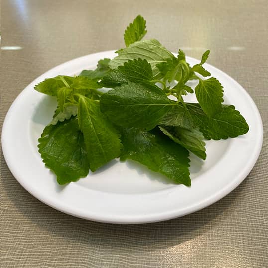 vietnamese lemon balm