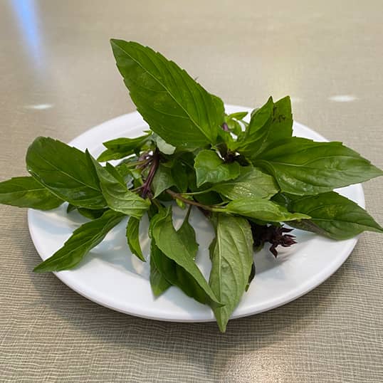 thai basil